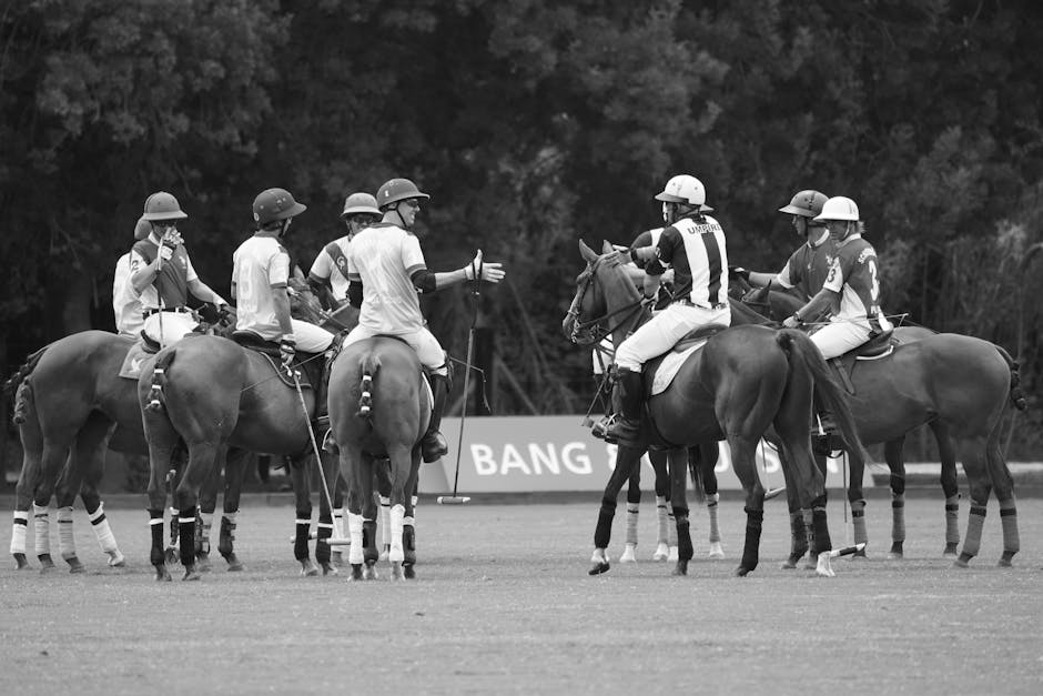 Understanding Polo Rules: A Player's Reference