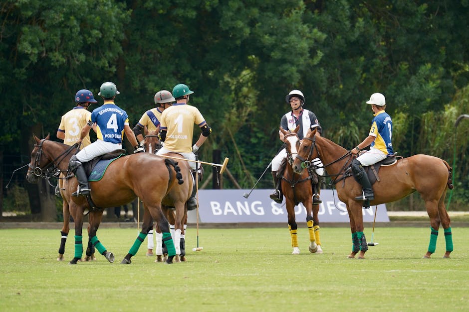 Polo Clubs in the UK: Finding Your Community