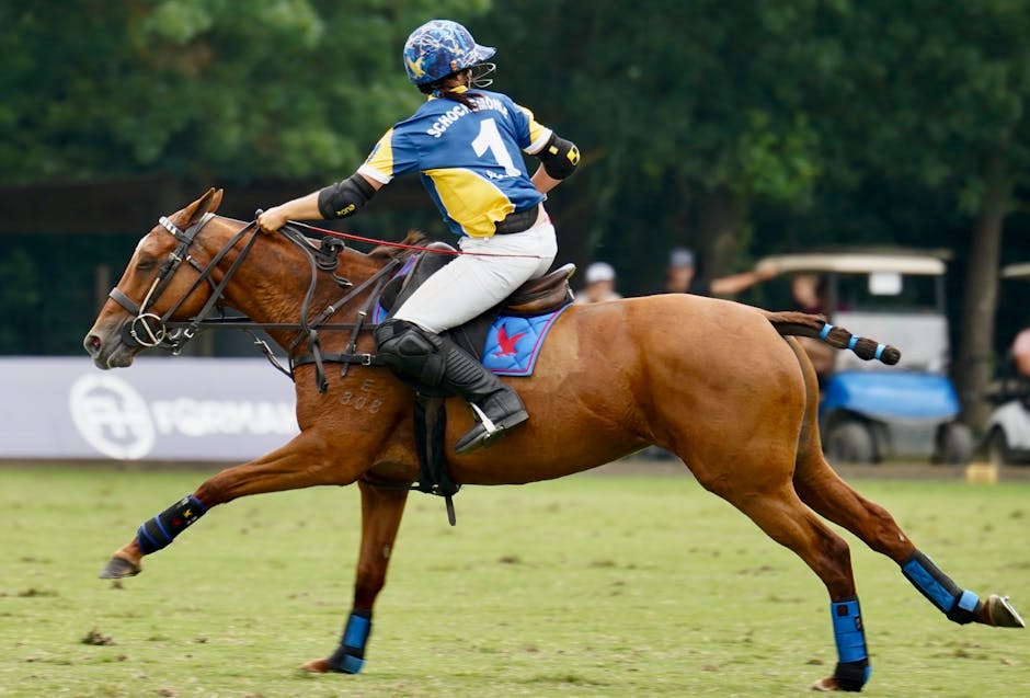 Choosing the Right Polo Pony: What Every Player Should Know